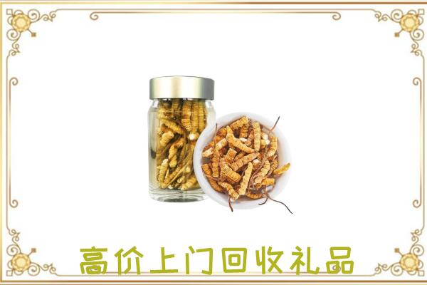 潍坊周边回收虫草